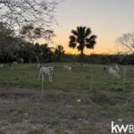 listing image thumbnail with ID 103264