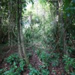 listing image thumbnail with ID 79931