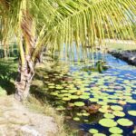 listing image thumbnail with ID 77220