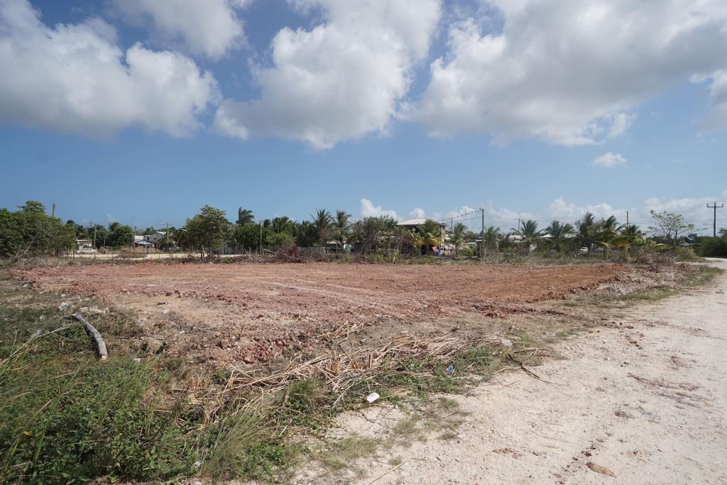 listing image with ID 83747