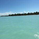 listing image thumbnail with ID 78242