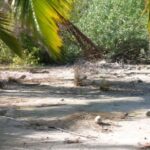 listing image thumbnail with ID 107224