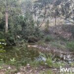 listing image thumbnail with ID 102305