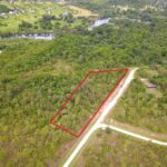 listing image thumbnail with ID 98741
