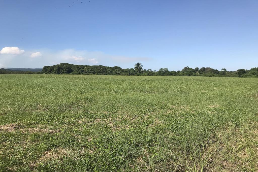 listing image with ID 102128