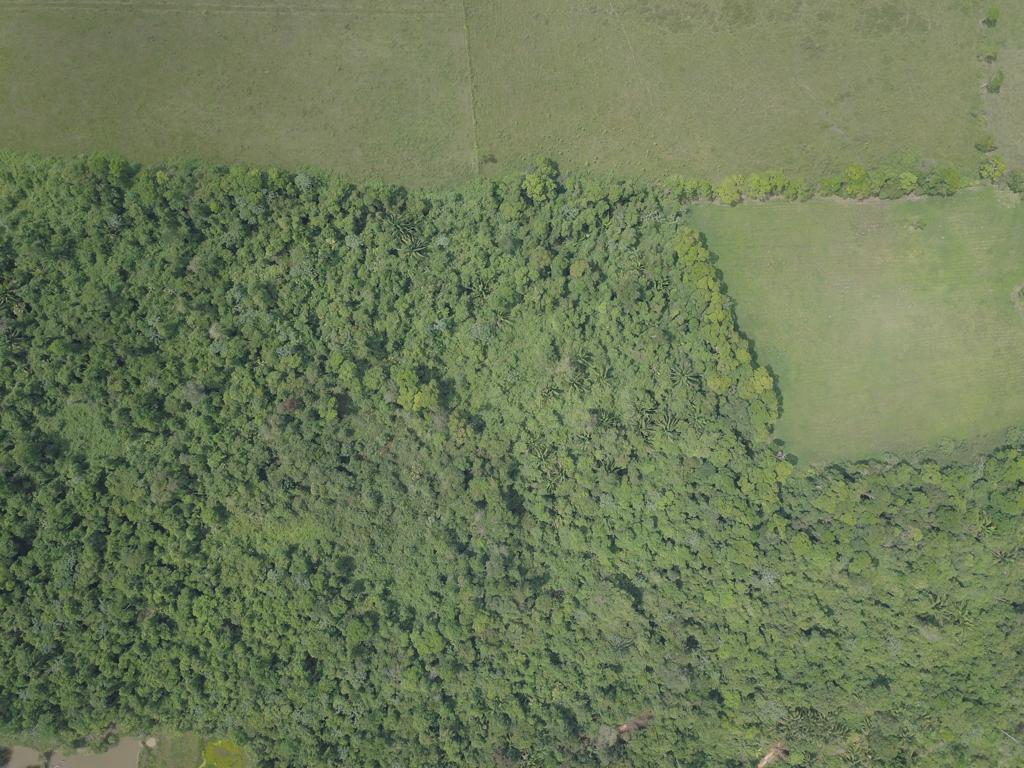 listing image with ID 76164