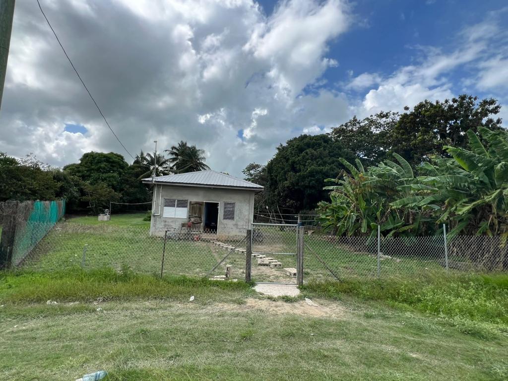 listing image with ID 98546