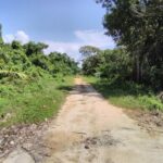 listing image thumbnail with ID 85529