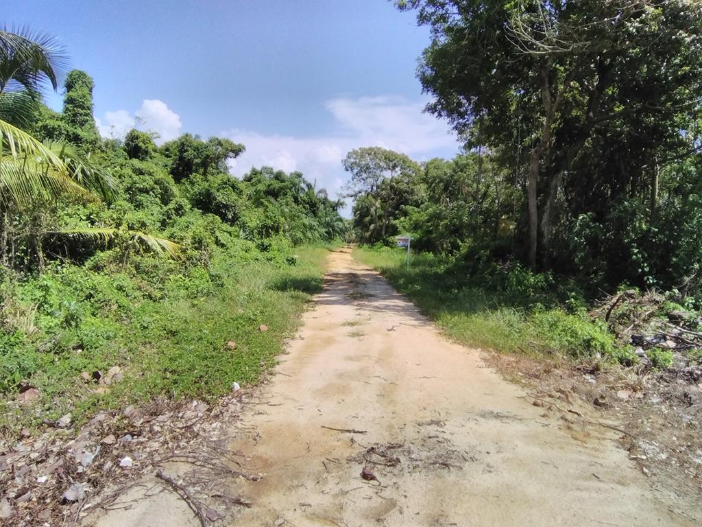 listing image with ID 85529
