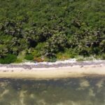 listing image thumbnail with ID 92818