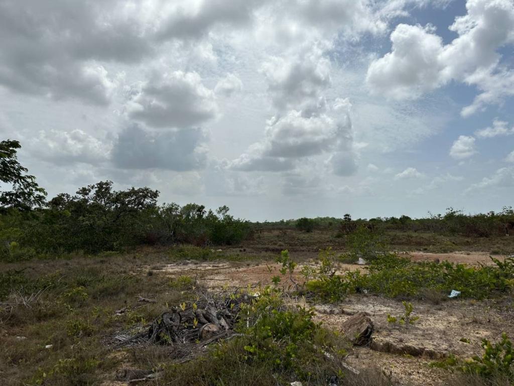 listing image with ID 106162