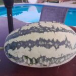 listing image thumbnail with ID 106273