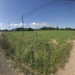 listing image thumbnail with ID 102127