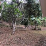listing image thumbnail with ID 99470