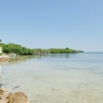 listing image thumbnail with ID 96692