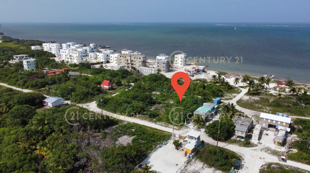 listing image with ID 97413
