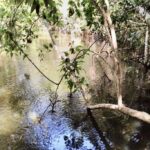 listing image thumbnail with ID 85282