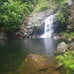 listing image thumbnail with ID 87265