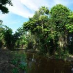 listing image thumbnail with ID 105747