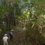 listing image thumbnail with ID 77027