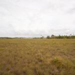 listing image thumbnail with ID 99453