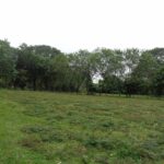listing image thumbnail with ID 104435