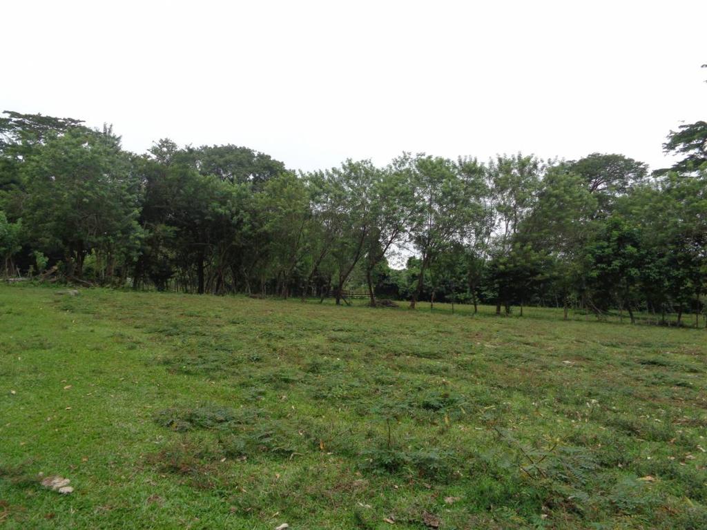 listing image with ID 104435