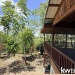 listing image thumbnail with ID 74288