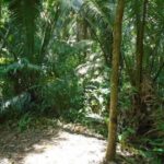 listing image thumbnail with ID 86740