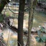 listing image thumbnail with ID 83945