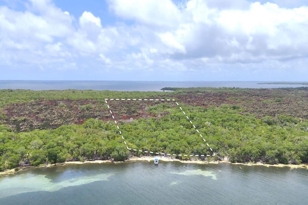 listing image with ID 74959