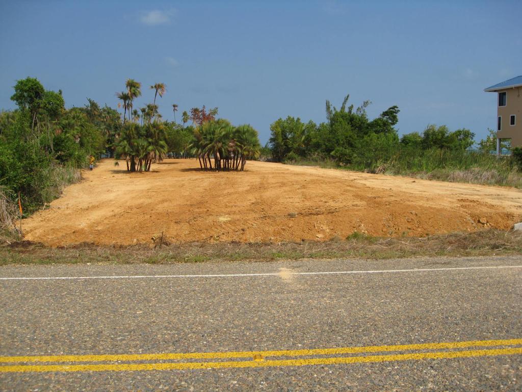 listing image with ID 75919