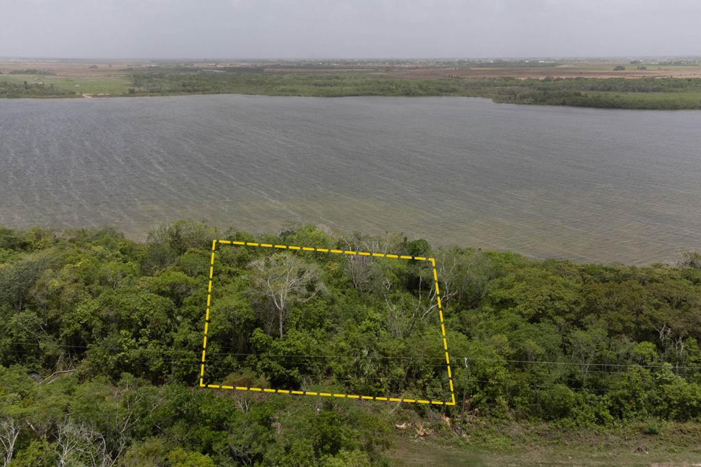 listing image with ID 97949