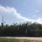 listing image thumbnail with ID 74607