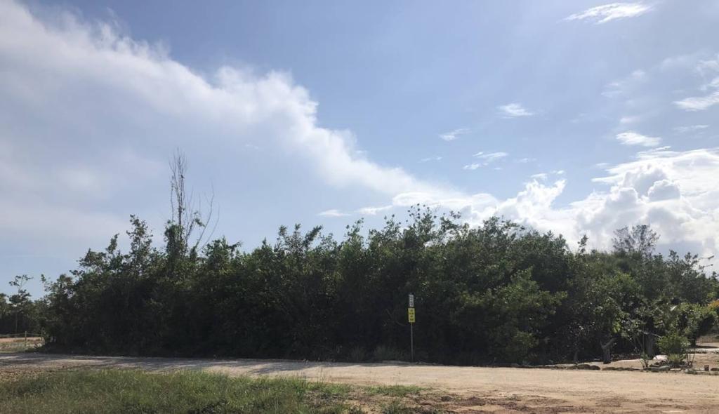 listing image with ID 74607