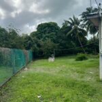 listing image thumbnail with ID 98547