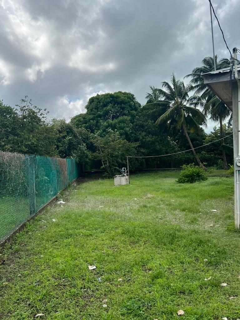 listing image with ID 98547