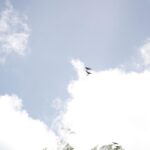 listing image thumbnail with ID 98326