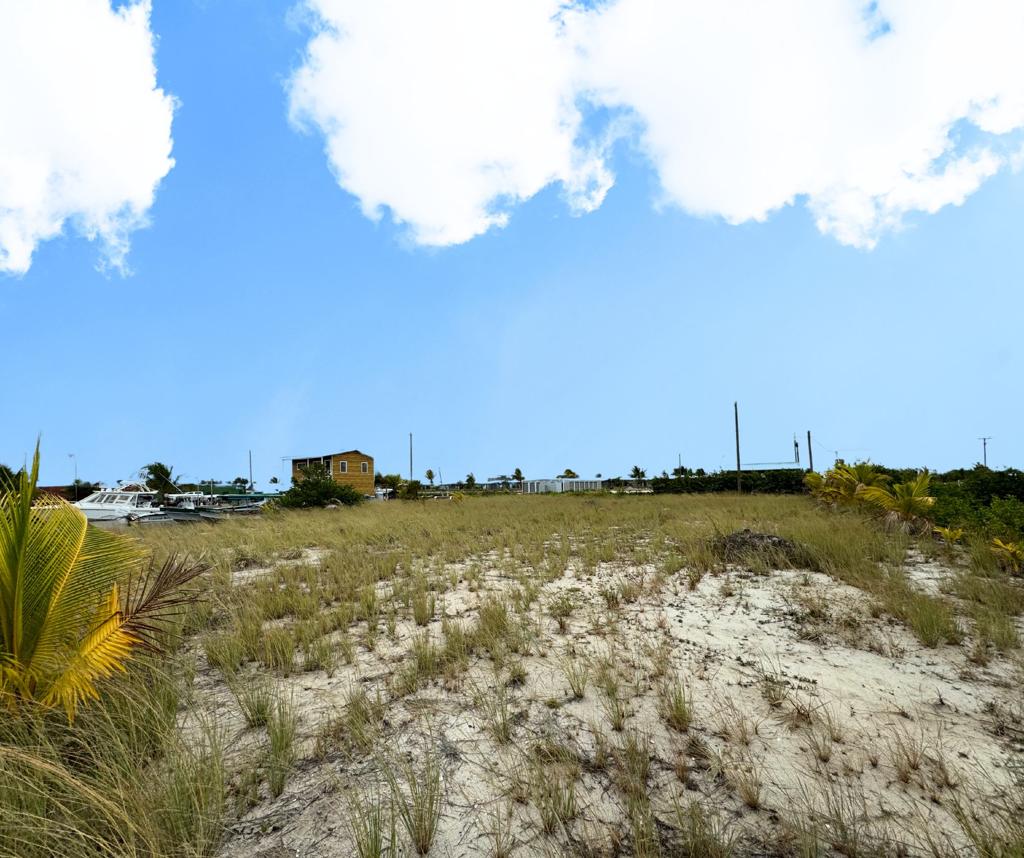 listing image with ID 106564