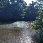 listing image thumbnail with ID 84569