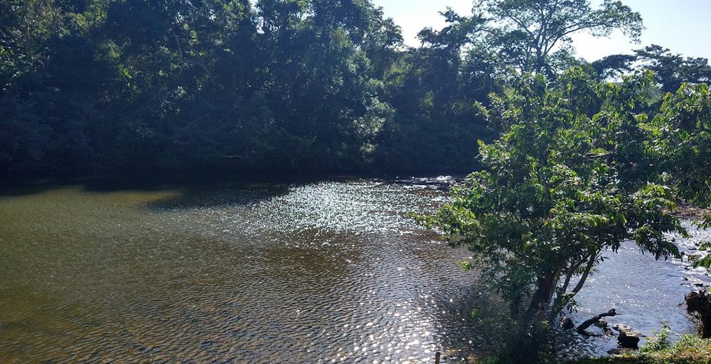 listing image with ID 84569
