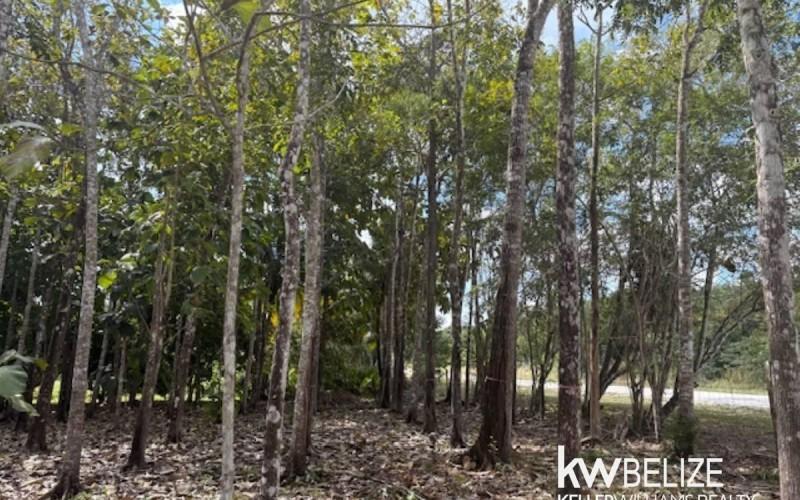 listing image with ID 102310