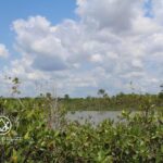 listing image thumbnail with ID 96115