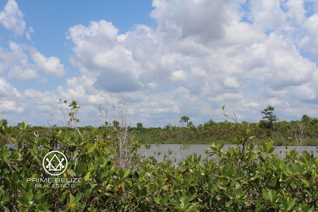 listing image with ID 96115