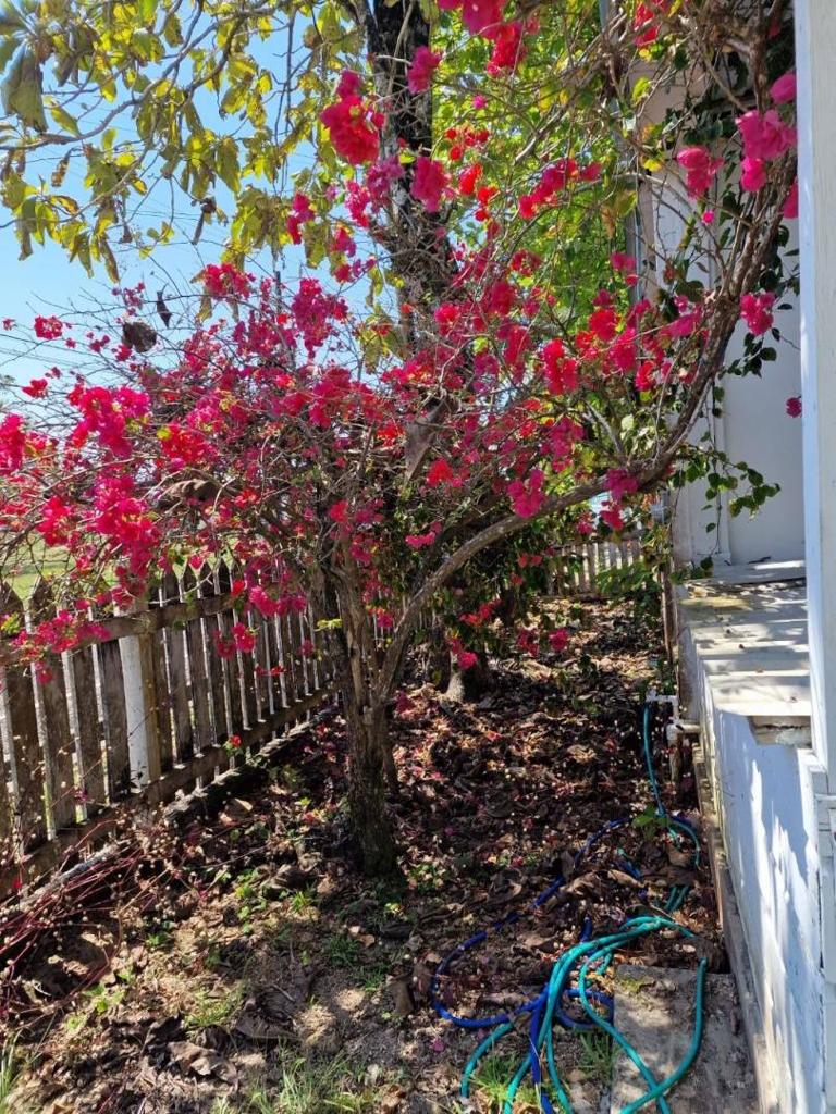 listing image with ID 80345