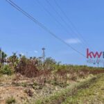 listing image thumbnail with ID 86554