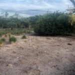 listing image thumbnail with ID 100574