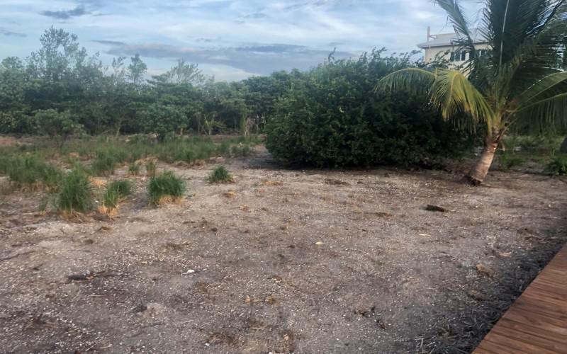 listing image with ID 100574