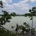listing image thumbnail with ID 96622
