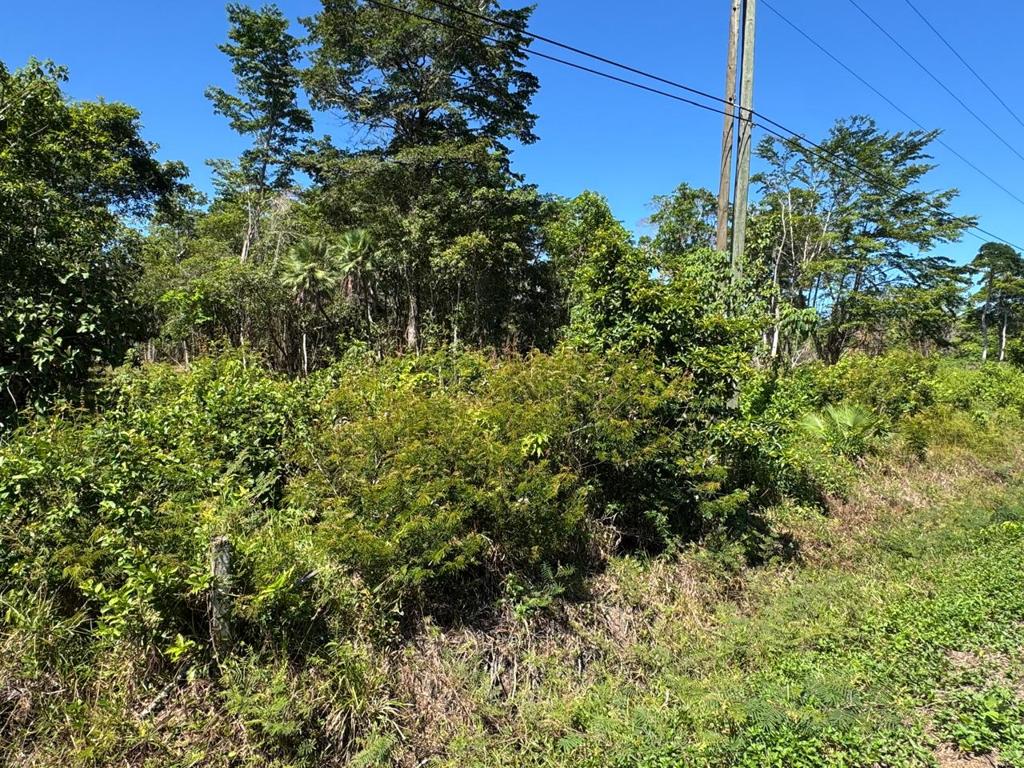 listing image with ID 75978